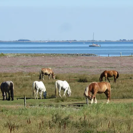 Haus Billstrasse 232 - 2 جويست